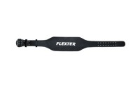   FLEXTER 6 . S 16 (FL-2004) -     -, 