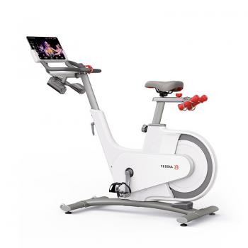 Велотренажер YESOUL Smart Spinning bike V1 белый V1 WHITE Сайкл - Интернет магазин спортивных товаров Кавказ-спорт, Владикавказ