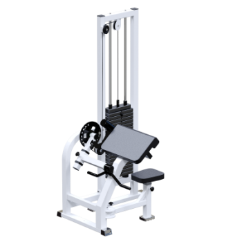 Бицепс-машина для инвалидов-колясочников Sabirgym SGINVAR057 Тренажер для реабилитации - Интернет магазин спортивных товаров Кавказ-спорт, Владикавказ