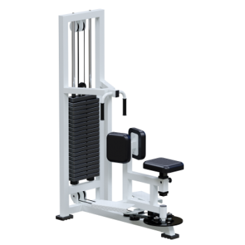 Профессиональный силовой тренажер Торс машина Sabirgym SG051 стек 100 кг васил - Интернет магазин спортивных товаров Кавказ-спорт, Владикавказ