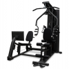 ������� �������� ���������������� SVENSSON BODY LABS RIGEL PLUS PRO (���� 90��) iron king - �������� ������� ���������� ������� ������-�����, �����������