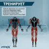 ���������� ������������ PREMIER PROF-M ����-���� ���������������� - �������� ������� ���������� ������� ������-�����, �����������