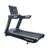     Gymmaster FT-T919 -     -, 
