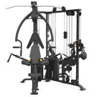  BRONZE GYM EVOLVE TriZone     -     -, 