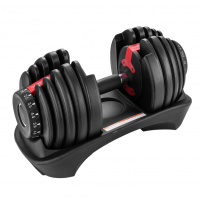   OXYGEN FITNESS FLEXER 24    Vasil -     -, 
