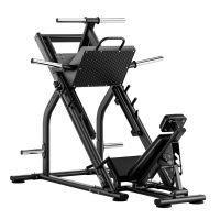 ��� ������ ��� ����� 45 �������� BRONZE GYM RAVE RV25 ������� �������� ��������� - �������� ������� ���������� ������� ������-�����, �����������
