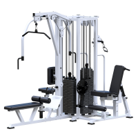 ���������������� ������� �������� ������������� ������� Sabirgym SG097�4�100 ����� 4�100 �� ironking - �������� ������� ���������� ������� ������-�����, �����������
