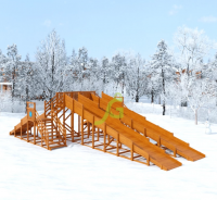 ������ ����� "IgraGrad Snow Fox", 4 ����� �������� - �������� ������� ���������� ������� ������-�����, �����������