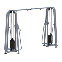 ���������������� ������� �������� ��������� Sabirgym SGMS700*100 2 ����� �� 100 �� iron king - �������� ������� ���������� ������� ������-�����, �����������