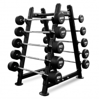    BRONZE GYM 10-55  - 10 ,  5  -     -, 