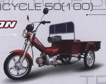  Stels Orion Tricycle 100 -     -, 