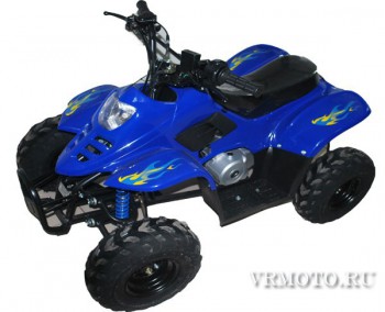 ���������� Gryphon Easy Rider 50 - �������� ������� ���������� ������� ������-�����, �����������