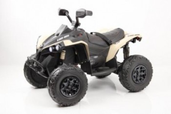   BRP Can-Am Renegade (Y333YY) S-Dostavka -     -, 