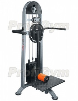    Profigym  -0600-C   -   -     -, 